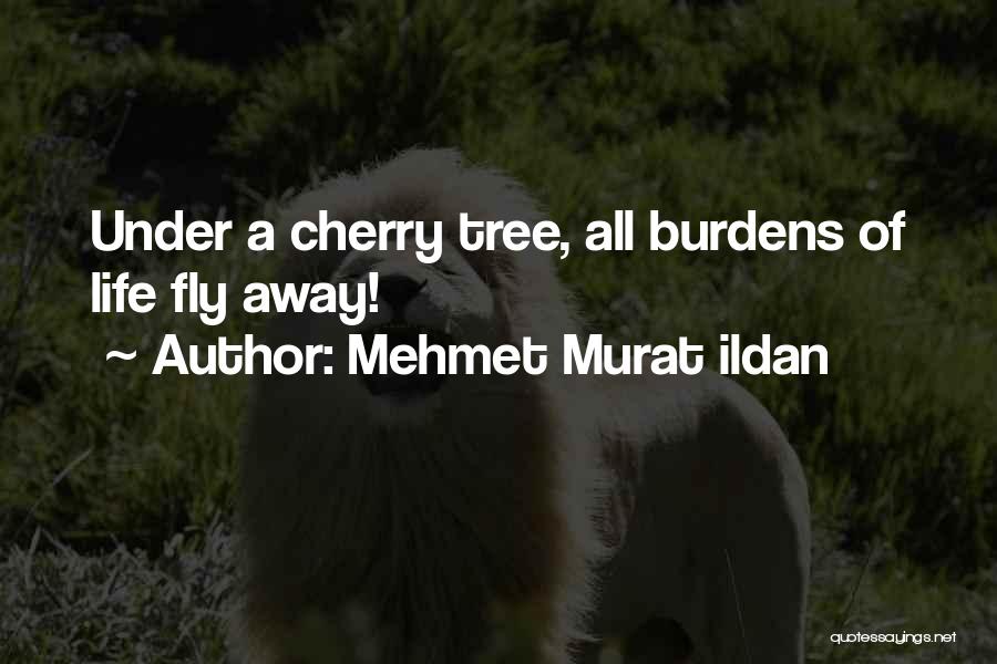 Mehmet Murat Ildan Quotes: Under A Cherry Tree, All Burdens Of Life Fly Away!