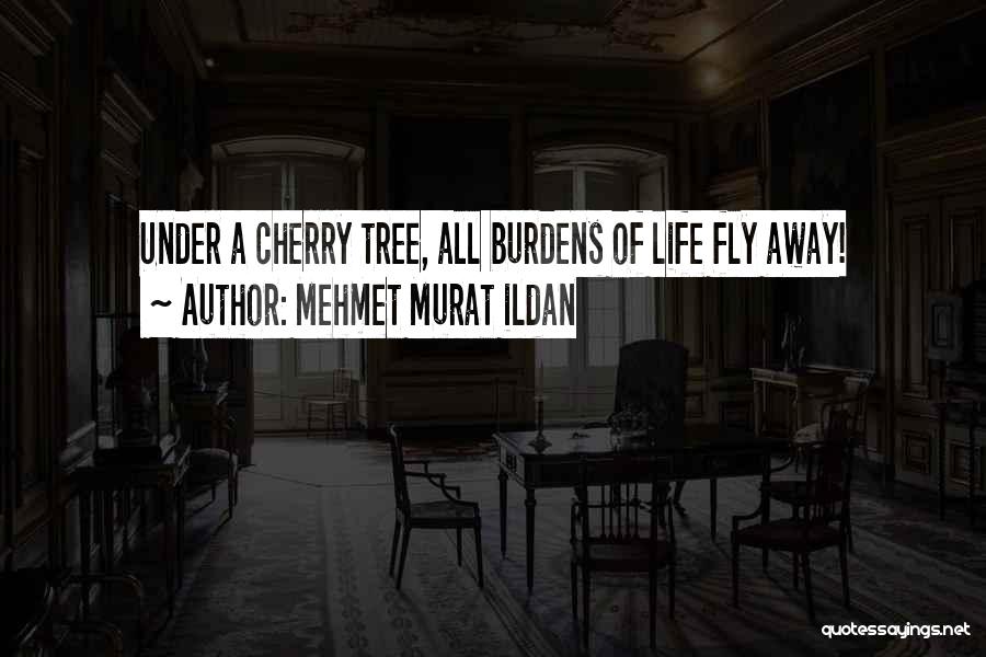 Mehmet Murat Ildan Quotes: Under A Cherry Tree, All Burdens Of Life Fly Away!