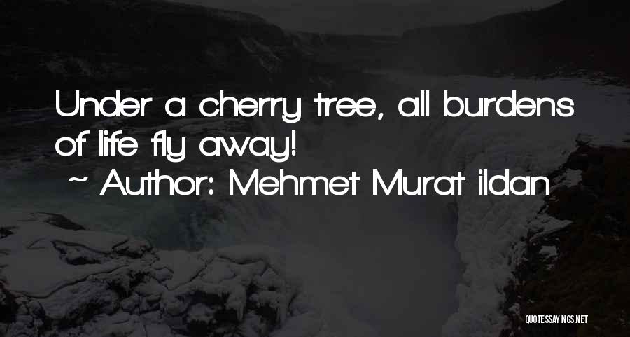 Mehmet Murat Ildan Quotes: Under A Cherry Tree, All Burdens Of Life Fly Away!