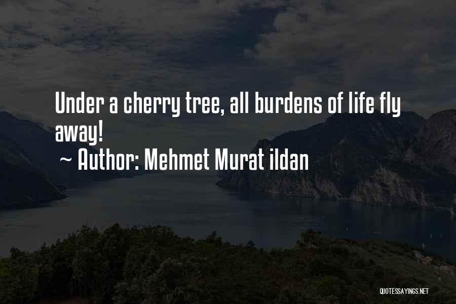 Mehmet Murat Ildan Quotes: Under A Cherry Tree, All Burdens Of Life Fly Away!