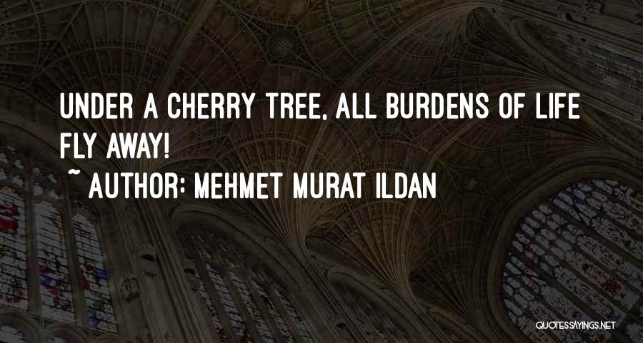 Mehmet Murat Ildan Quotes: Under A Cherry Tree, All Burdens Of Life Fly Away!