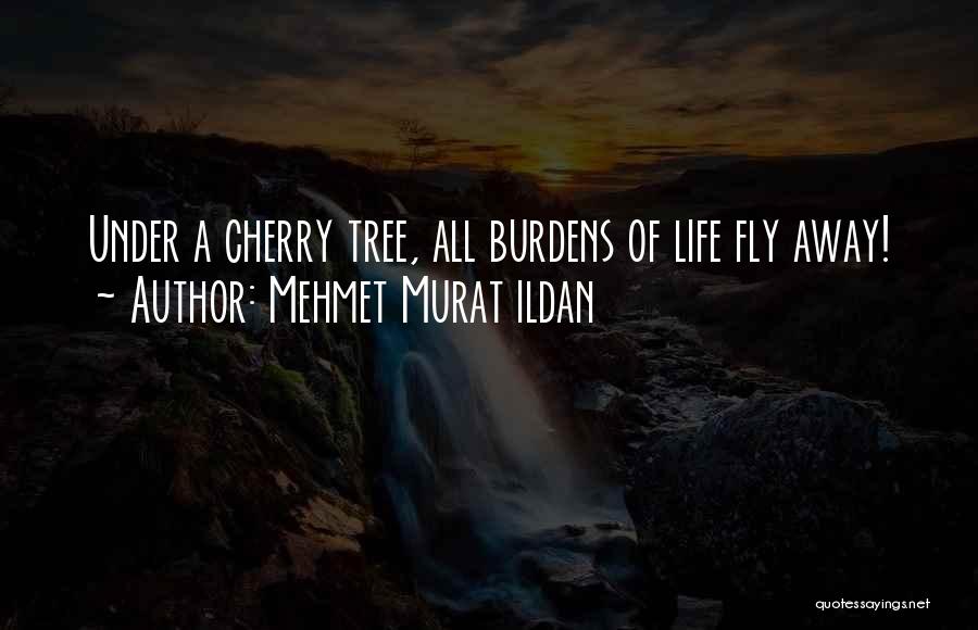 Mehmet Murat Ildan Quotes: Under A Cherry Tree, All Burdens Of Life Fly Away!