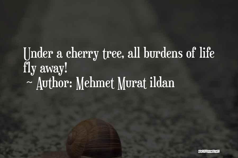 Mehmet Murat Ildan Quotes: Under A Cherry Tree, All Burdens Of Life Fly Away!