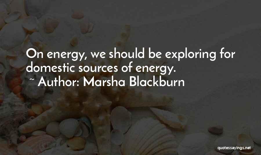 Marsha Blackburn Quotes: On Energy, We Should Be Exploring For Domestic Sources Of Energy.