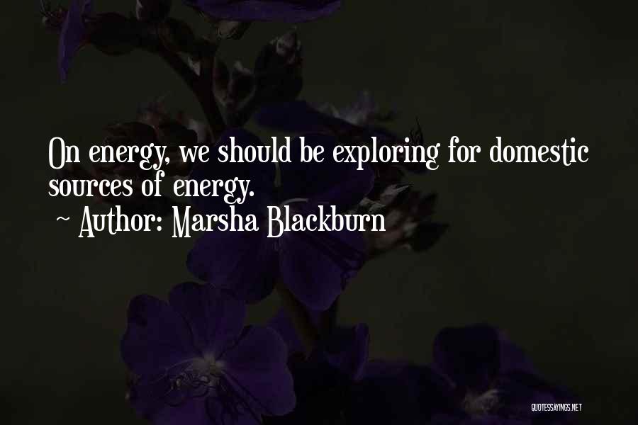 Marsha Blackburn Quotes: On Energy, We Should Be Exploring For Domestic Sources Of Energy.