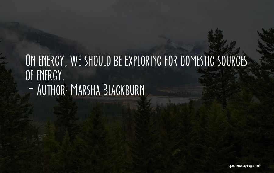 Marsha Blackburn Quotes: On Energy, We Should Be Exploring For Domestic Sources Of Energy.