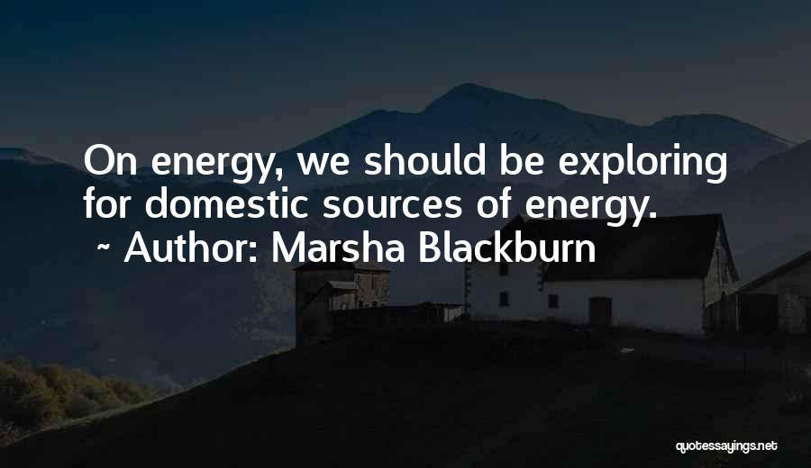 Marsha Blackburn Quotes: On Energy, We Should Be Exploring For Domestic Sources Of Energy.