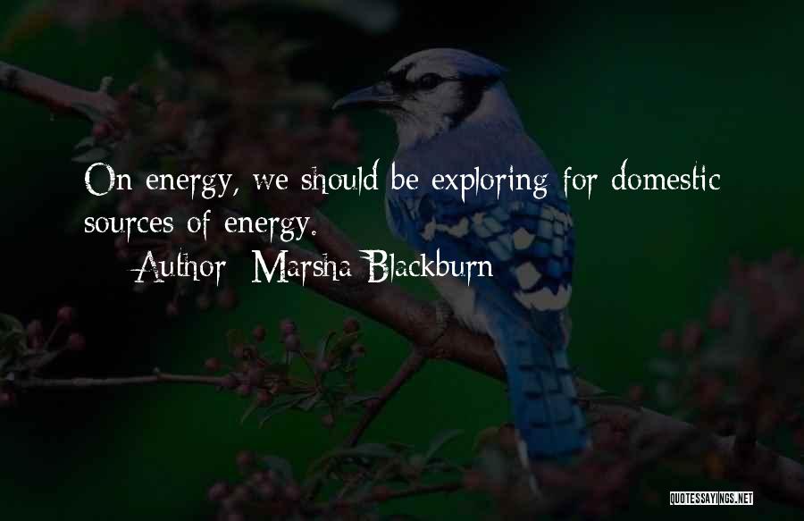 Marsha Blackburn Quotes: On Energy, We Should Be Exploring For Domestic Sources Of Energy.