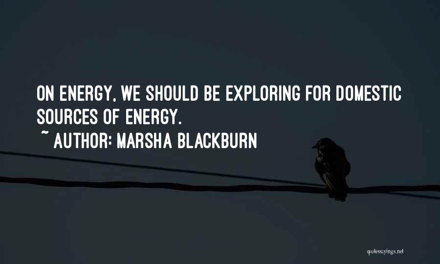 Marsha Blackburn Quotes: On Energy, We Should Be Exploring For Domestic Sources Of Energy.