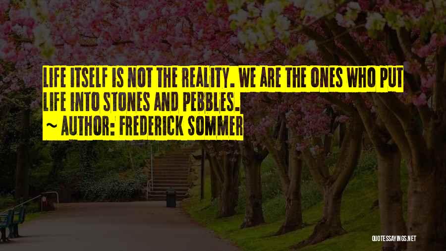 Frederick Sommer Quotes: Life Itself Is Not The Reality. We Are The Ones Who Put Life Into Stones And Pebbles.