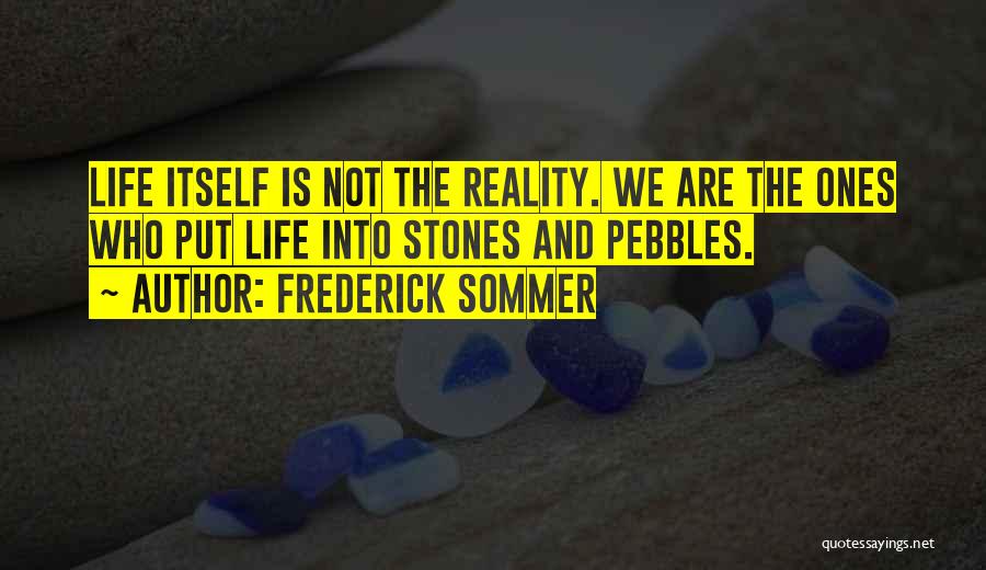 Frederick Sommer Quotes: Life Itself Is Not The Reality. We Are The Ones Who Put Life Into Stones And Pebbles.