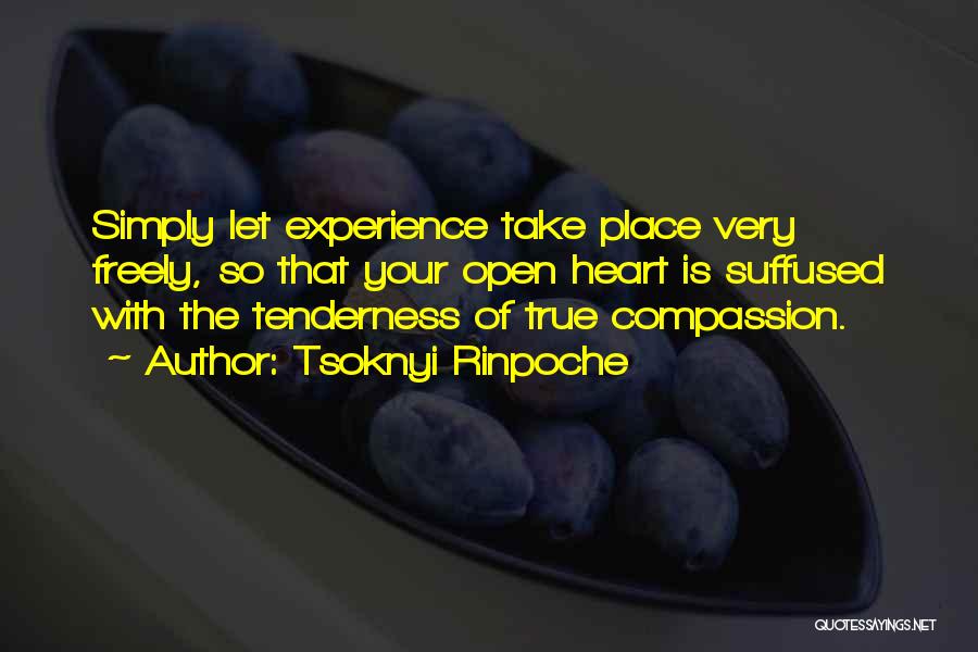 Tsoknyi Rinpoche Quotes: Simply Let Experience Take Place Very Freely, So That Your Open Heart Is Suffused With The Tenderness Of True Compassion.