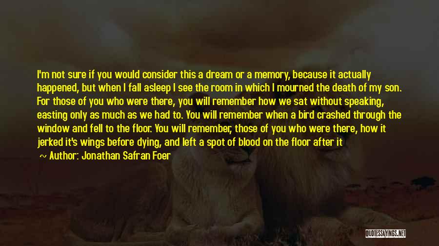 Jonathan Safran Foer Quotes: I'm Not Sure If You Would Consider This A Dream Or A Memory, Because It Actually Happened, But When I