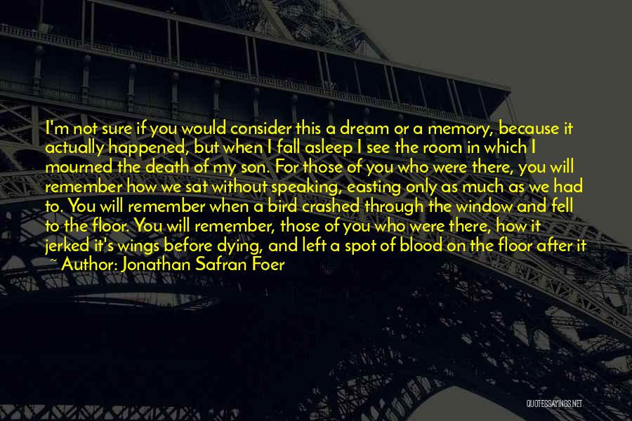 Jonathan Safran Foer Quotes: I'm Not Sure If You Would Consider This A Dream Or A Memory, Because It Actually Happened, But When I