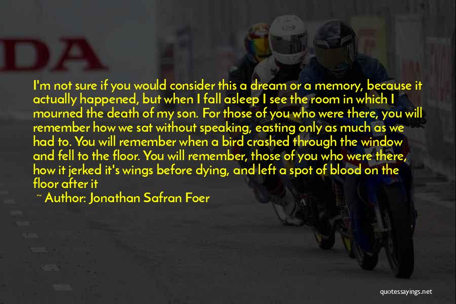 Jonathan Safran Foer Quotes: I'm Not Sure If You Would Consider This A Dream Or A Memory, Because It Actually Happened, But When I