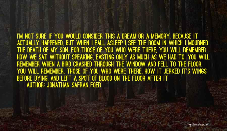 Jonathan Safran Foer Quotes: I'm Not Sure If You Would Consider This A Dream Or A Memory, Because It Actually Happened, But When I