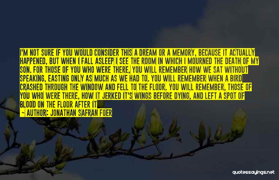 Jonathan Safran Foer Quotes: I'm Not Sure If You Would Consider This A Dream Or A Memory, Because It Actually Happened, But When I