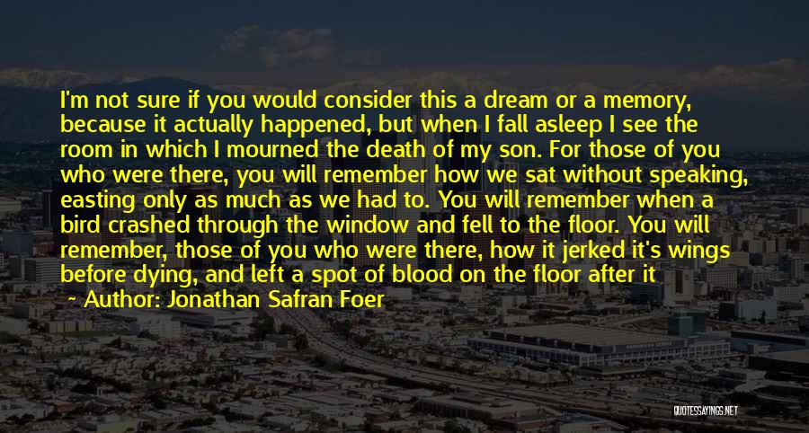 Jonathan Safran Foer Quotes: I'm Not Sure If You Would Consider This A Dream Or A Memory, Because It Actually Happened, But When I