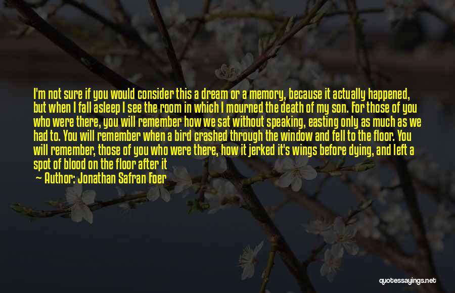 Jonathan Safran Foer Quotes: I'm Not Sure If You Would Consider This A Dream Or A Memory, Because It Actually Happened, But When I