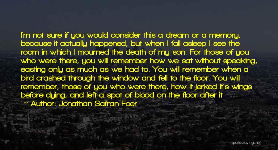 Jonathan Safran Foer Quotes: I'm Not Sure If You Would Consider This A Dream Or A Memory, Because It Actually Happened, But When I