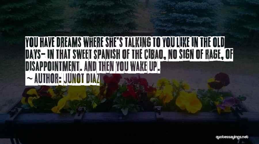 Junot Diaz Quotes: You Have Dreams Where She's Talking To You Like In The Old Days- In That Sweet Spanish Of The Cibao,