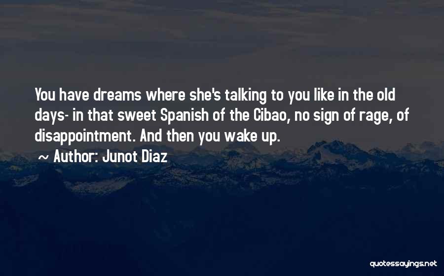 Junot Diaz Quotes: You Have Dreams Where She's Talking To You Like In The Old Days- In That Sweet Spanish Of The Cibao,