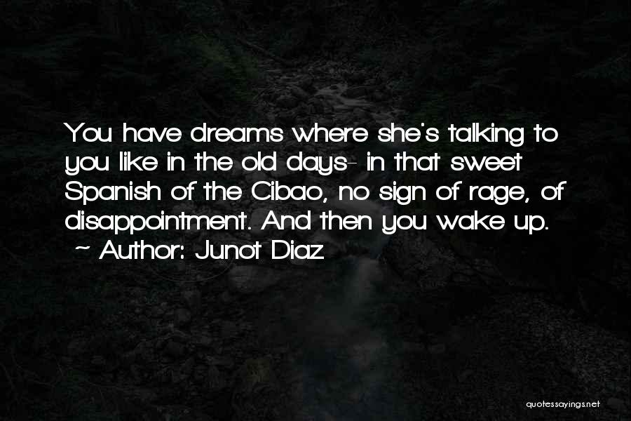 Junot Diaz Quotes: You Have Dreams Where She's Talking To You Like In The Old Days- In That Sweet Spanish Of The Cibao,