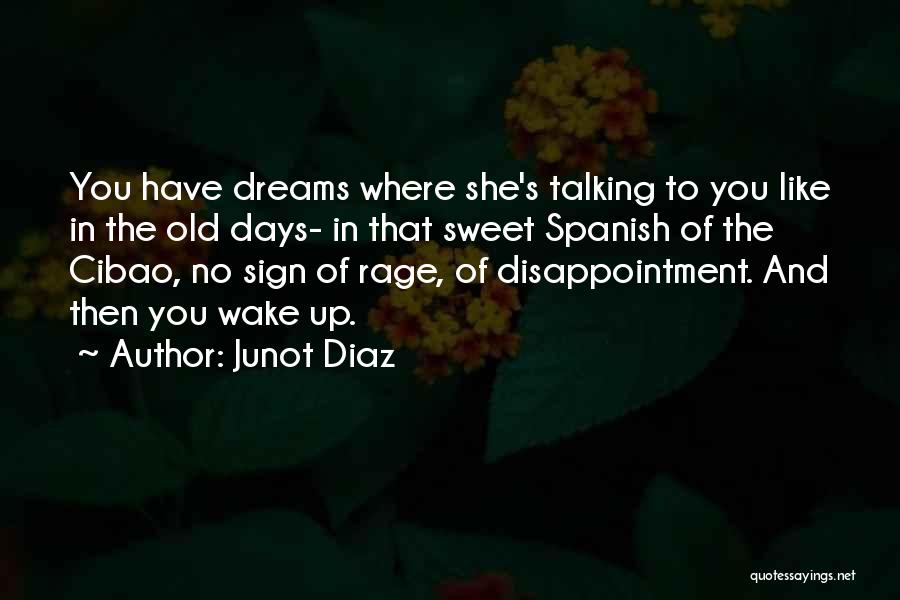 Junot Diaz Quotes: You Have Dreams Where She's Talking To You Like In The Old Days- In That Sweet Spanish Of The Cibao,