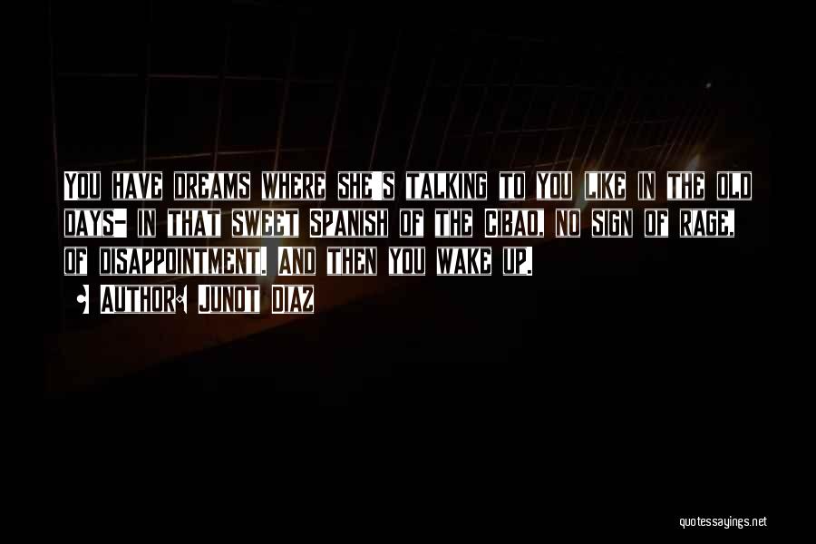 Junot Diaz Quotes: You Have Dreams Where She's Talking To You Like In The Old Days- In That Sweet Spanish Of The Cibao,