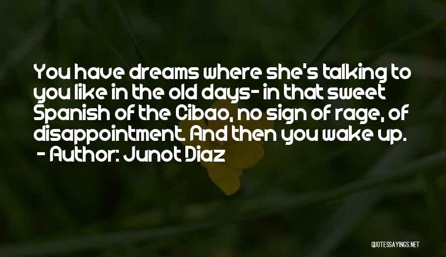 Junot Diaz Quotes: You Have Dreams Where She's Talking To You Like In The Old Days- In That Sweet Spanish Of The Cibao,