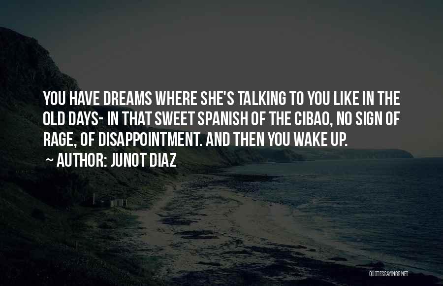 Junot Diaz Quotes: You Have Dreams Where She's Talking To You Like In The Old Days- In That Sweet Spanish Of The Cibao,