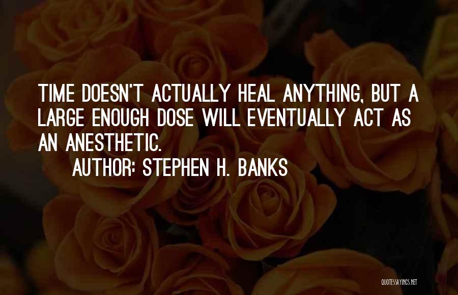 Stephen H. Banks Quotes: Time Doesn't Actually Heal Anything, But A Large Enough Dose Will Eventually Act As An Anesthetic.