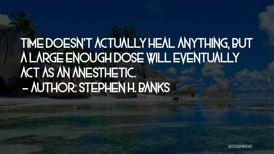 Stephen H. Banks Quotes: Time Doesn't Actually Heal Anything, But A Large Enough Dose Will Eventually Act As An Anesthetic.
