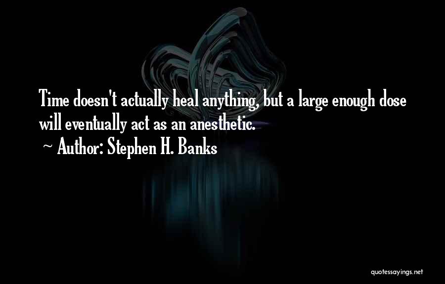 Stephen H. Banks Quotes: Time Doesn't Actually Heal Anything, But A Large Enough Dose Will Eventually Act As An Anesthetic.