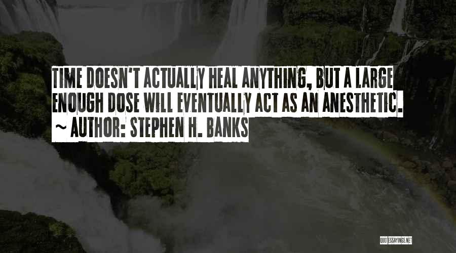 Stephen H. Banks Quotes: Time Doesn't Actually Heal Anything, But A Large Enough Dose Will Eventually Act As An Anesthetic.