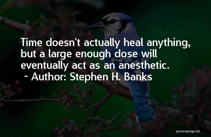 Stephen H. Banks Quotes: Time Doesn't Actually Heal Anything, But A Large Enough Dose Will Eventually Act As An Anesthetic.