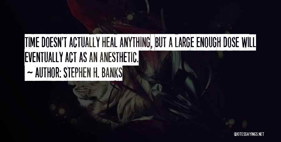 Stephen H. Banks Quotes: Time Doesn't Actually Heal Anything, But A Large Enough Dose Will Eventually Act As An Anesthetic.