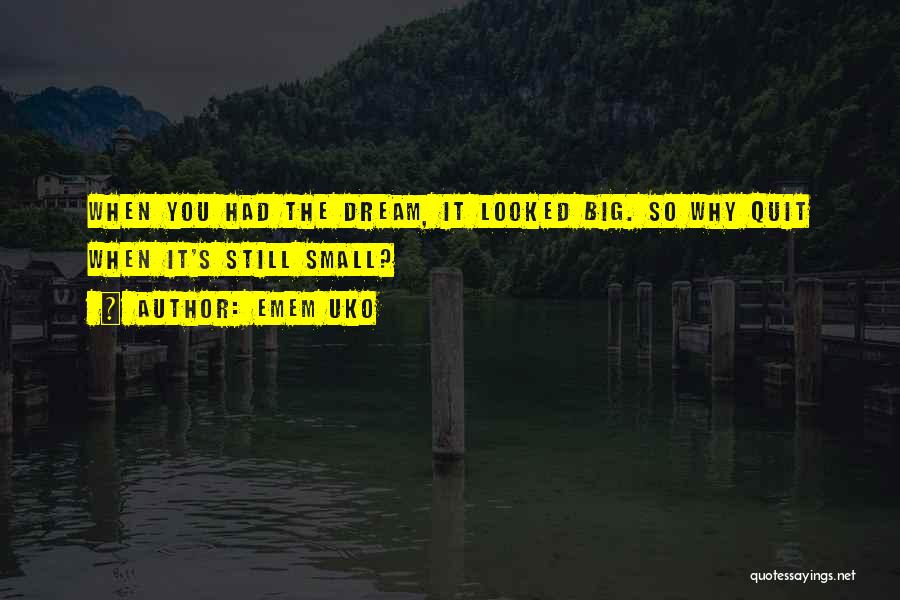 Emem Uko Quotes: When You Had The Dream, It Looked Big. So Why Quit When It's Still Small?