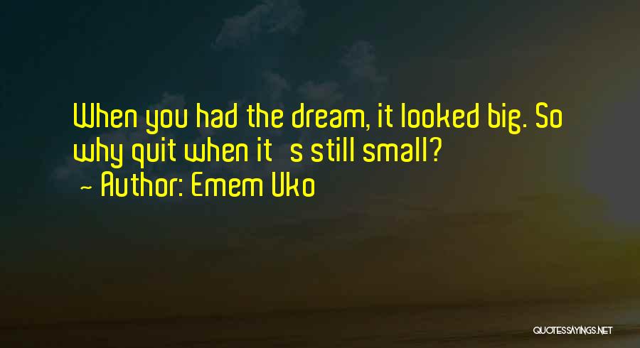 Emem Uko Quotes: When You Had The Dream, It Looked Big. So Why Quit When It's Still Small?