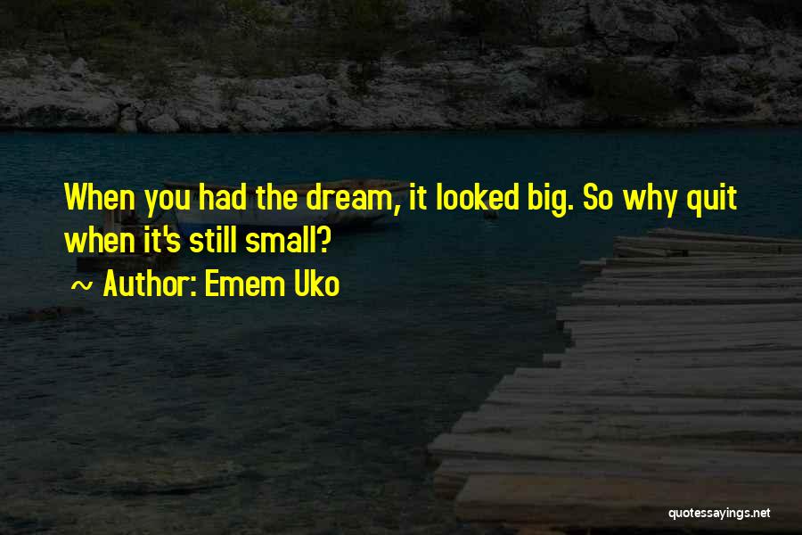 Emem Uko Quotes: When You Had The Dream, It Looked Big. So Why Quit When It's Still Small?