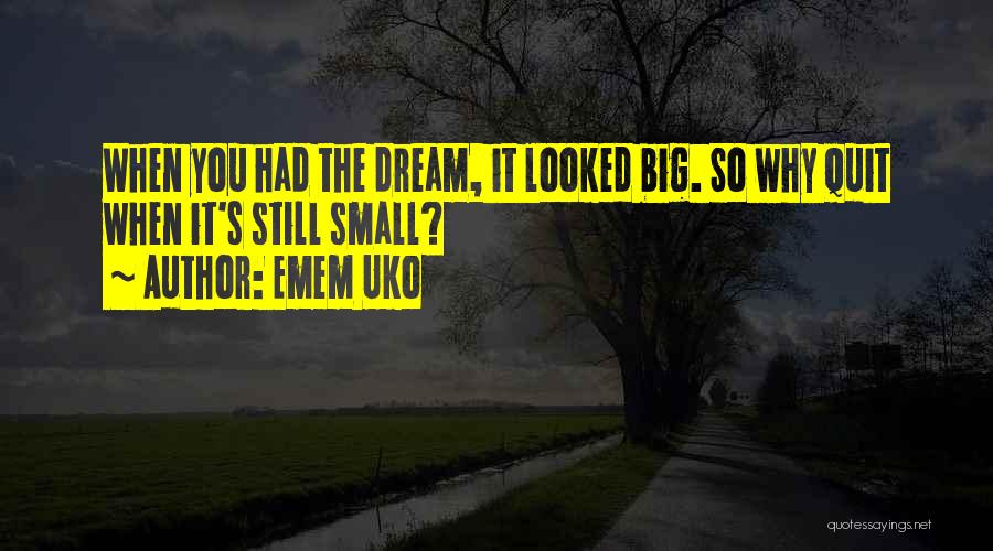 Emem Uko Quotes: When You Had The Dream, It Looked Big. So Why Quit When It's Still Small?