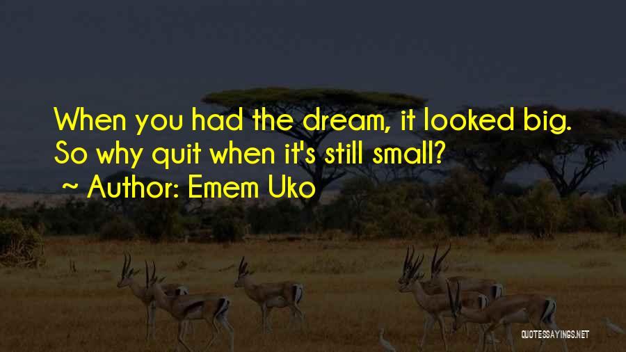 Emem Uko Quotes: When You Had The Dream, It Looked Big. So Why Quit When It's Still Small?