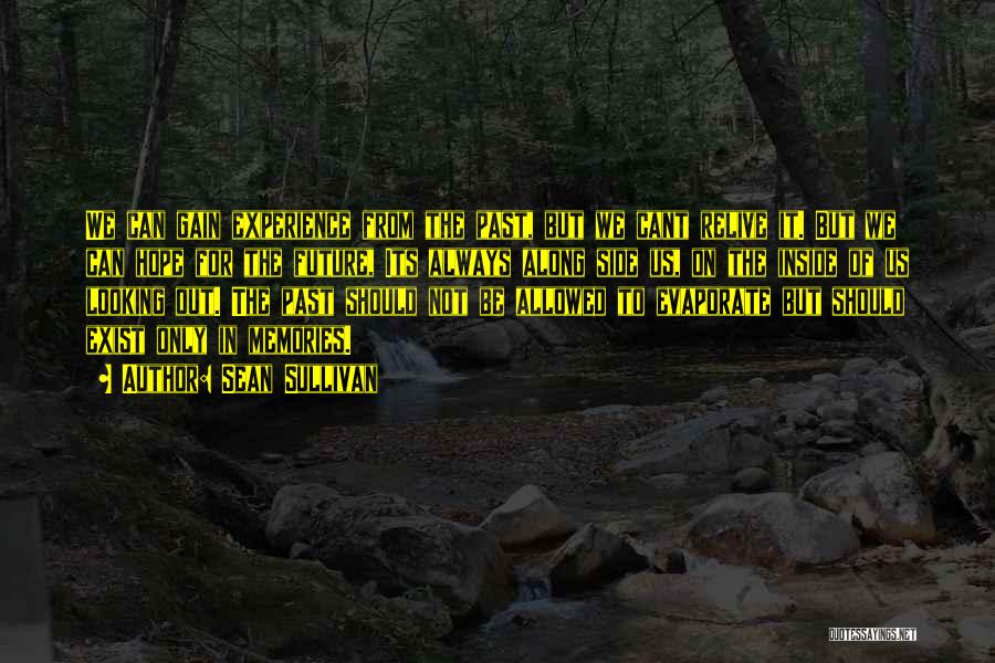 Sean Sullivan Quotes: We Can Gain Experience From The Past, But We Cant Relive It. But We Can Hope For The Future, Its