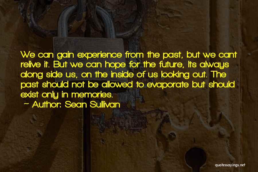 Sean Sullivan Quotes: We Can Gain Experience From The Past, But We Cant Relive It. But We Can Hope For The Future, Its