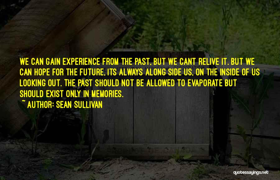 Sean Sullivan Quotes: We Can Gain Experience From The Past, But We Cant Relive It. But We Can Hope For The Future, Its