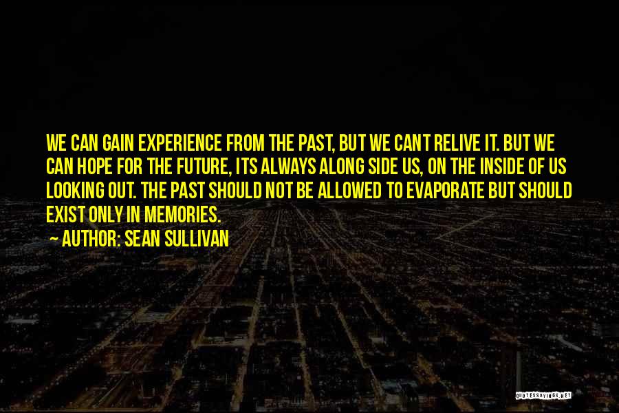 Sean Sullivan Quotes: We Can Gain Experience From The Past, But We Cant Relive It. But We Can Hope For The Future, Its