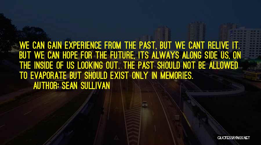 Sean Sullivan Quotes: We Can Gain Experience From The Past, But We Cant Relive It. But We Can Hope For The Future, Its