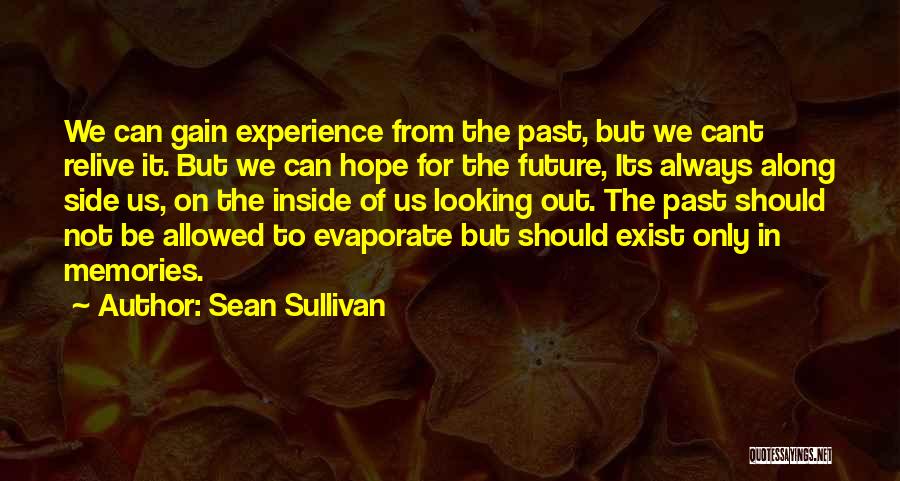 Sean Sullivan Quotes: We Can Gain Experience From The Past, But We Cant Relive It. But We Can Hope For The Future, Its