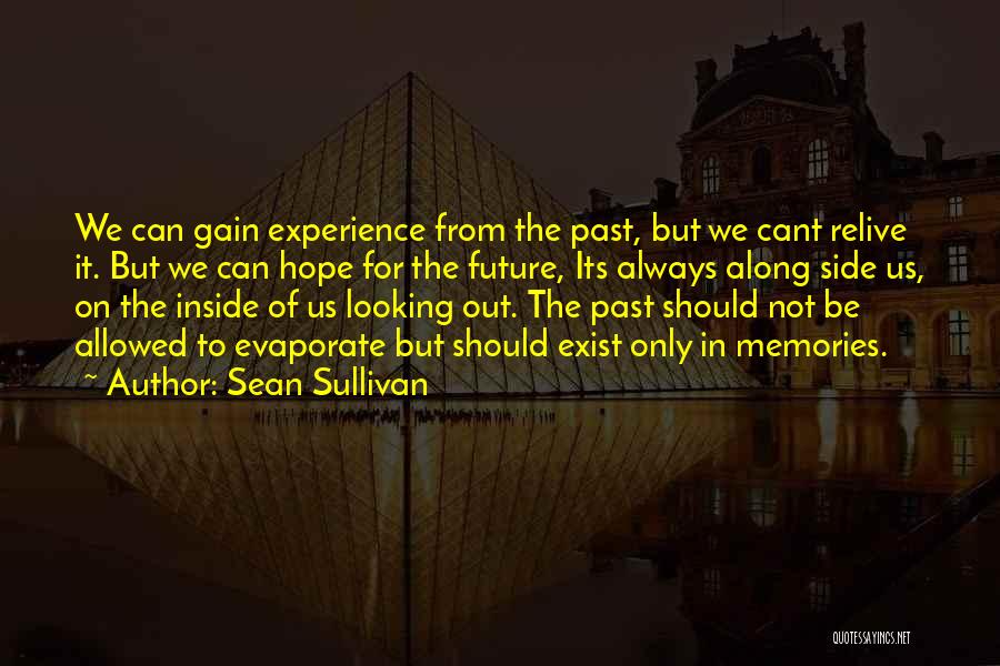 Sean Sullivan Quotes: We Can Gain Experience From The Past, But We Cant Relive It. But We Can Hope For The Future, Its