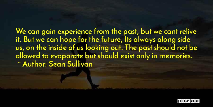 Sean Sullivan Quotes: We Can Gain Experience From The Past, But We Cant Relive It. But We Can Hope For The Future, Its